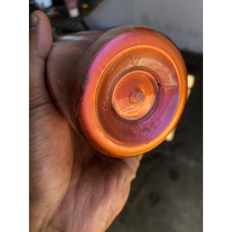 Cat Bunglon NC Chameleon