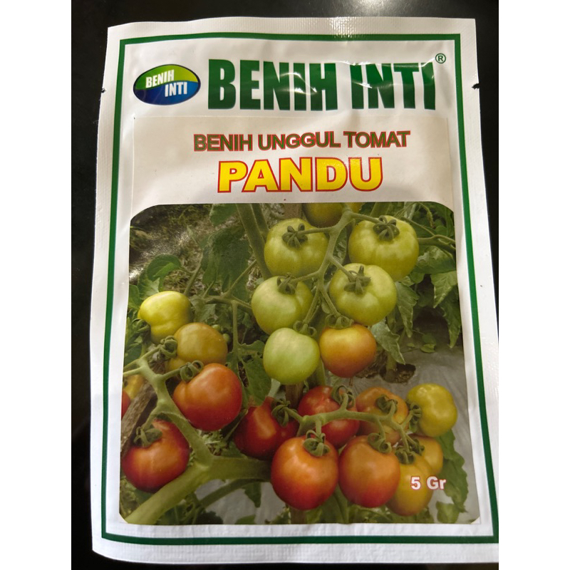 Benih Tomat Unggul Benih Inti Pandu