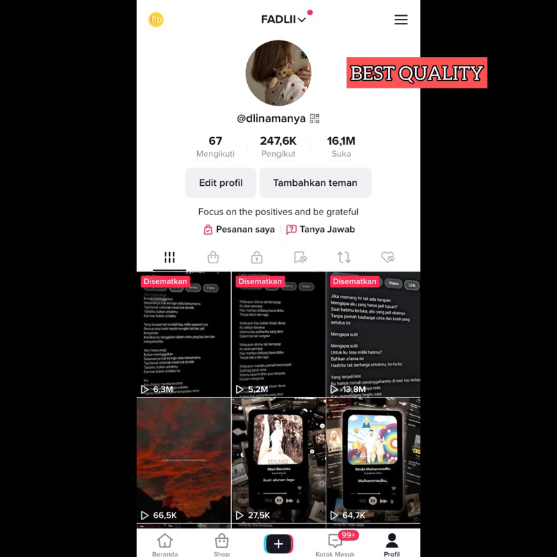 AKUN TIKK.TOKKK TT BEST