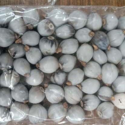 

MURAH HERBAL JAGUNG JALI KERING/COIX LACRYMA 500 GRAM