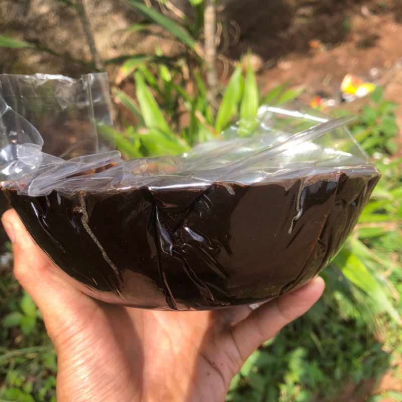 

HG Gula Aren Batok Linggau Untuk Cuko Pempek 1kg