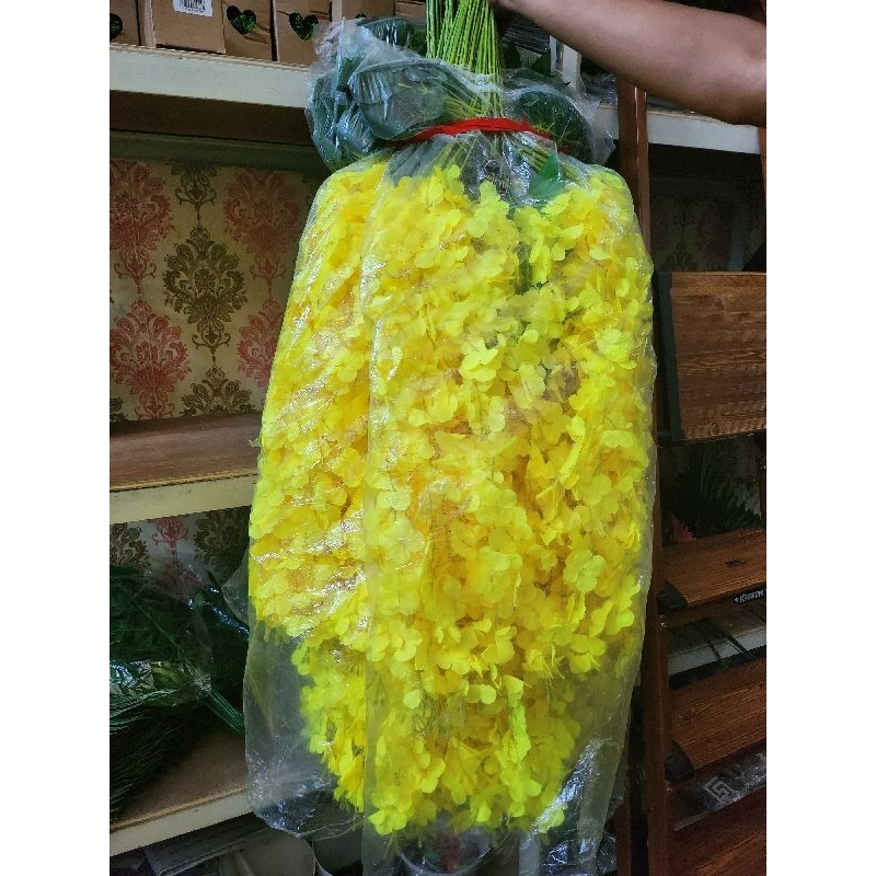 [1 LUSIN ] Wisteria Gantung Besar / Bung aJuntai Wisteria (12 pcs)