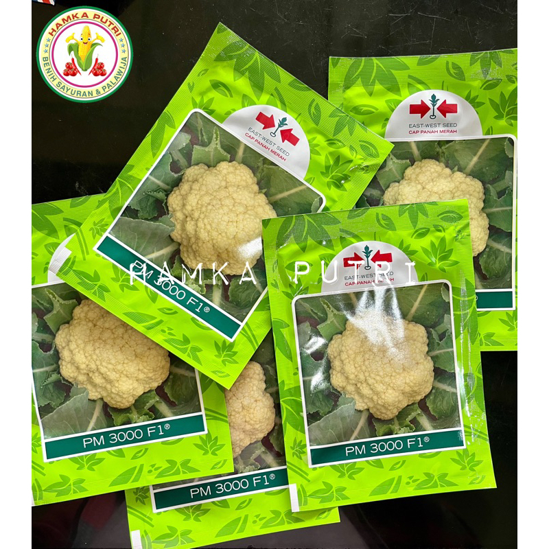 Bunga Kol PM 3000 F1 10 gram  NEW 