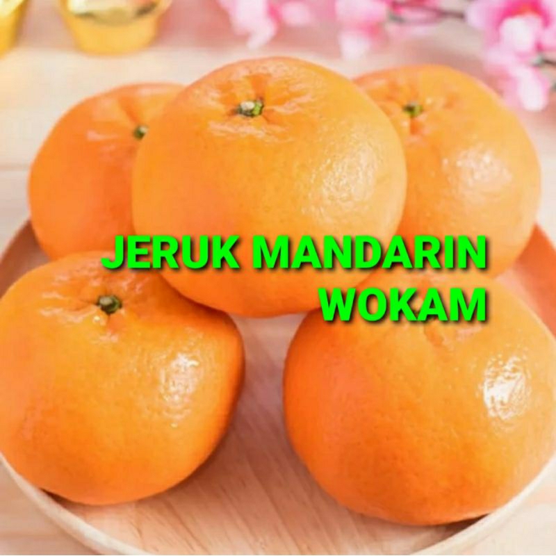 

JERUK MANDARIN WOKAM KHUSUS PARA SULTAN 1 KG (PREMIUM QUALITY)