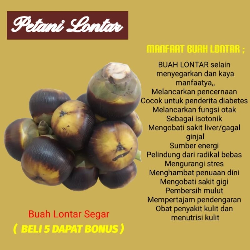 

BUAH SIWALAN / Lontar 1 Pcs bulat ( Isi 3 biji )