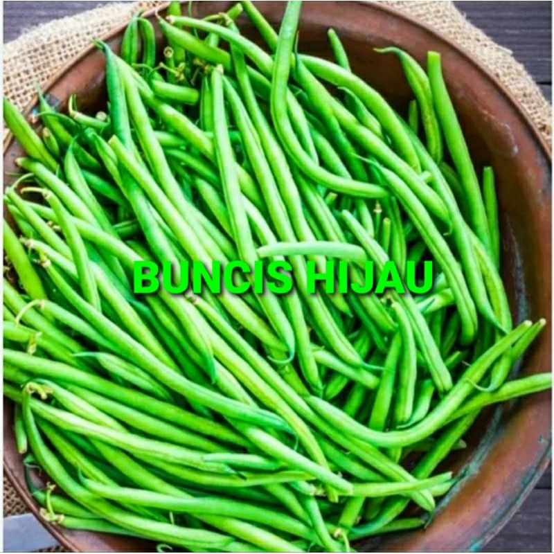 

BUNCIS HIJAU KHUSUS PARA SULTAN 1 KG (PREMIUM QUALITY)