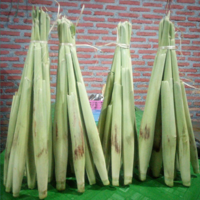 

Turubuk sayur segar 10 batang