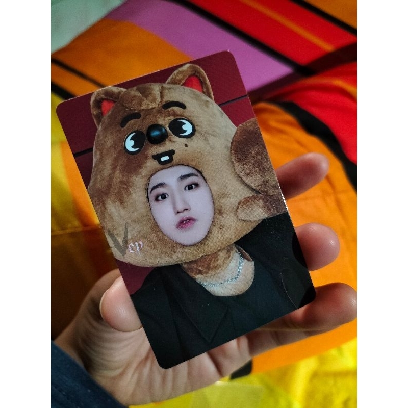 [BOOKED] Photocard PC POB Han Jisung JYP shop Han Quokka Han Badut Maxident Stray Kids SKZ