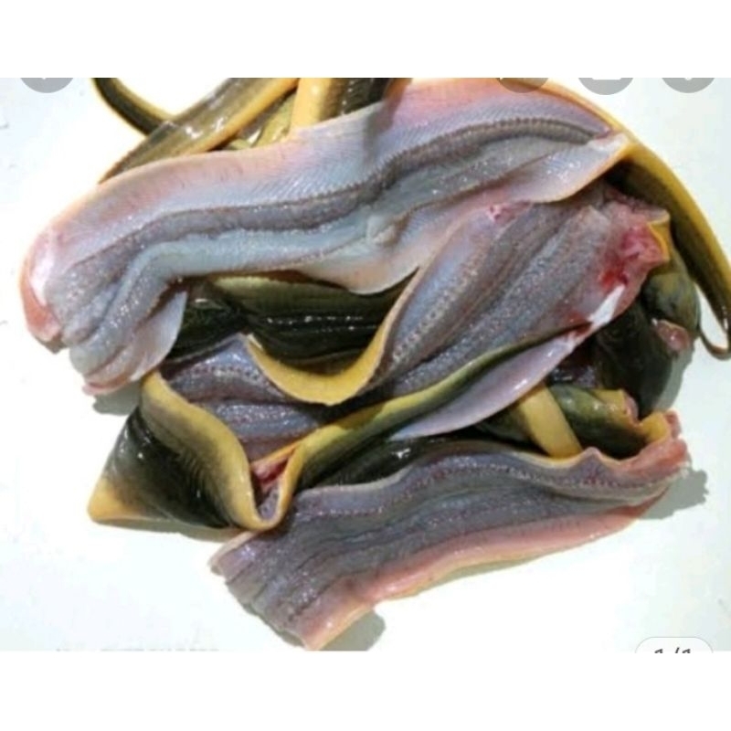 

belut di buang tulang500grm