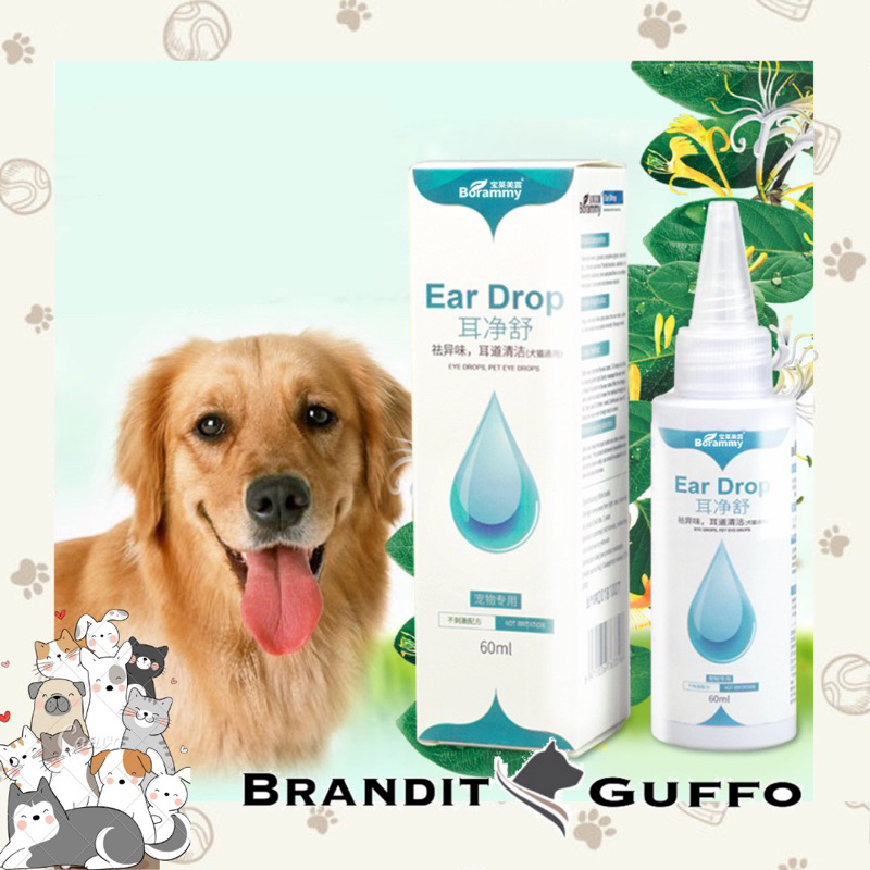 ear drops anjing anjing perawatan telinga obat tetes telinga kutu