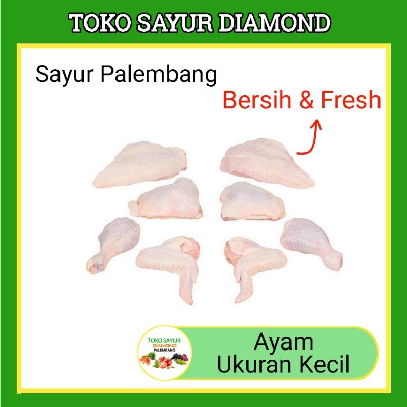 

Ayam Ukuran Kecil - Fresh Palembang