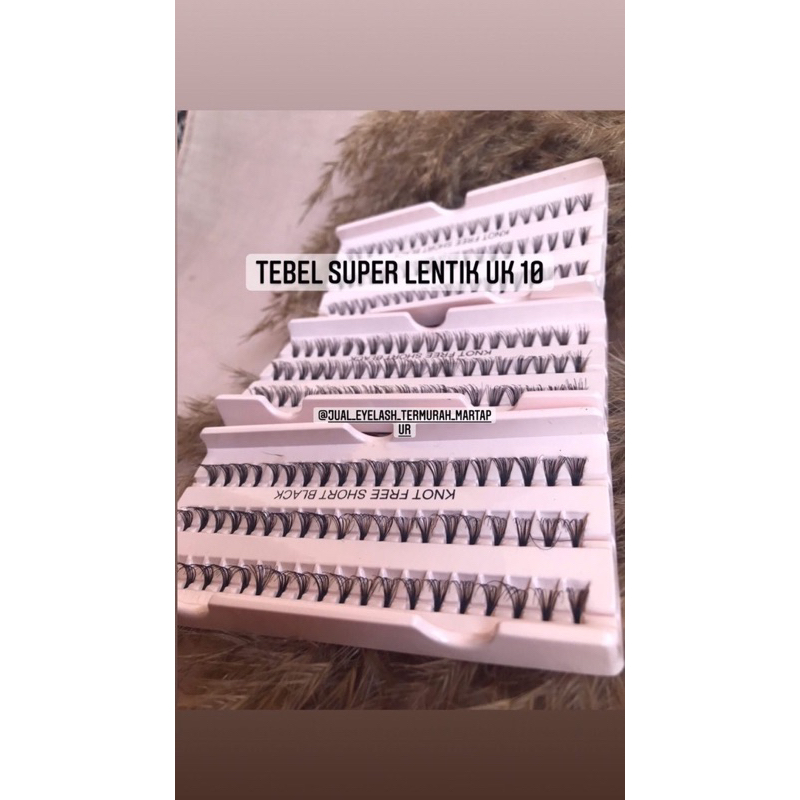 bulu mata cabang/tanam bulu mata