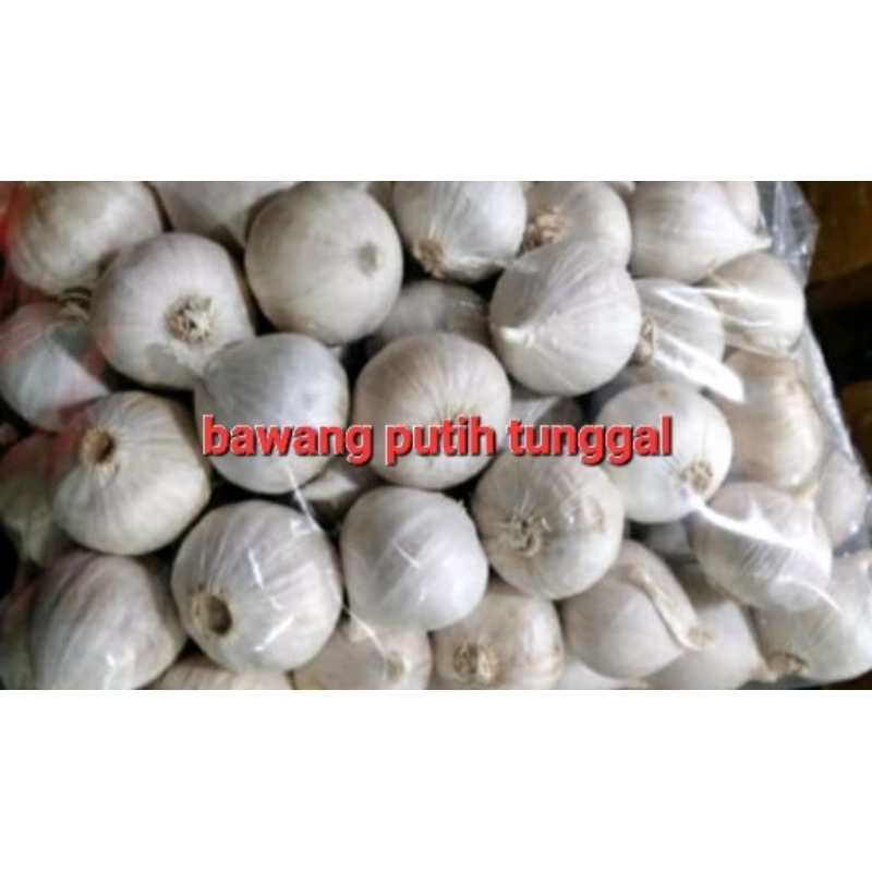 

Bawang putih Tunggal 100 gram