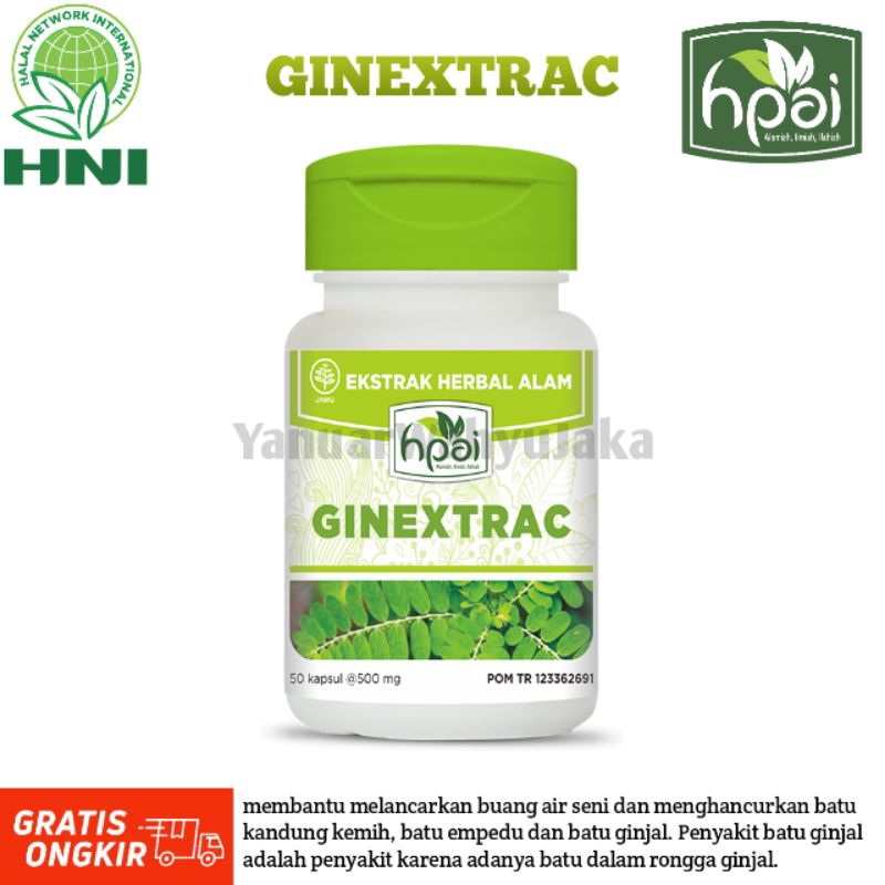 (Bisa COD) Kapsul GINEXTRAC TRADISIONAL Obat Tradisional Untuk Membantu Meluruhkan Batu Urin (HPAI)