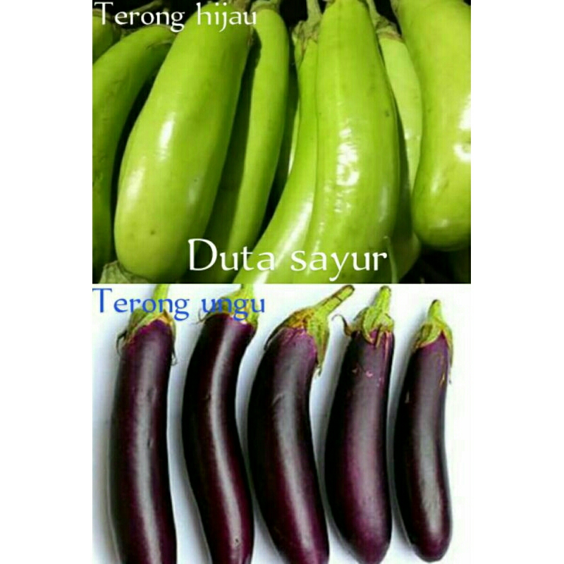 

Terong ungu / Terong hijau 500 gram