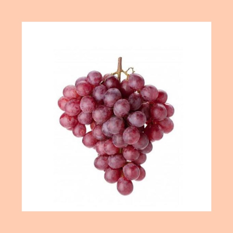 

Buah anggur red globe / anggur red globe australia