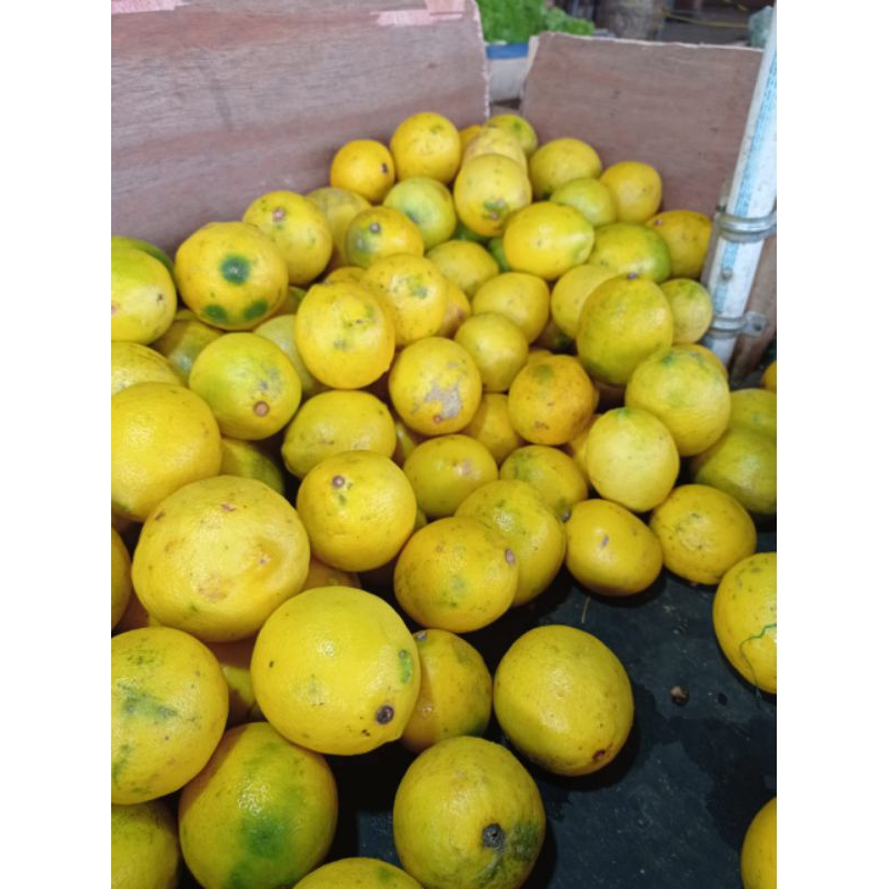

lemon per 1 kg