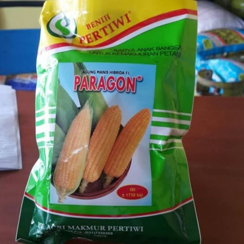 BENIH JAGUNG MANIS PARAGON PERTIWI