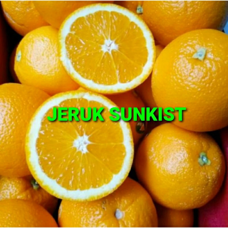 

JERUK SUNKIST KHUSUS PARA SULTAN 1 KG (PREMIUM QUALITY)