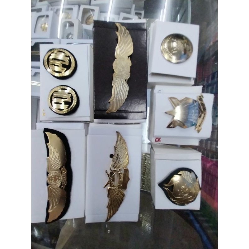 PIN MANTUL ATRIBUT PRAJA IPDN