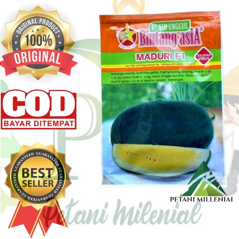 MADURI F1 - Benih Semangka Inul / bibit bintang Asia