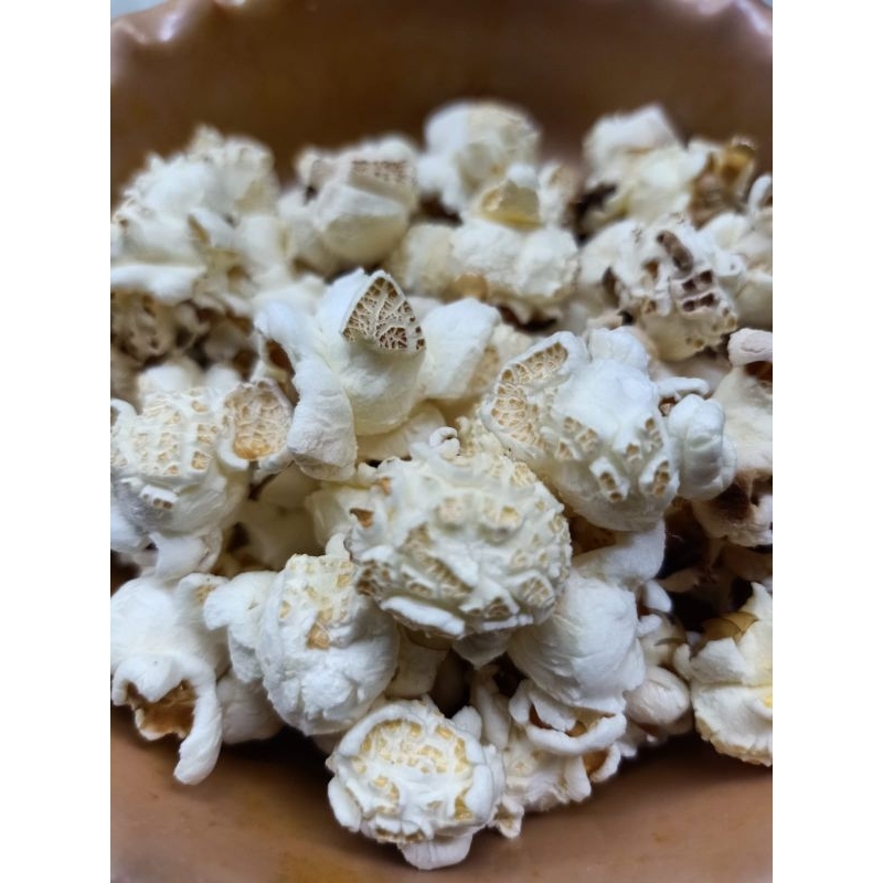 jagung popcorn mushroom 1 kg