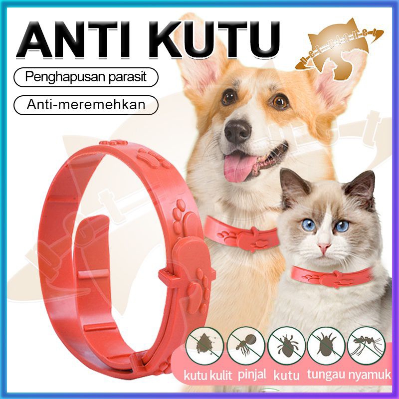 GPSS- Kalung Kucing Anti Kutu Pinjal Dijamin Ampuh Collar For Cat Kalung Anjing Anti Kutu Anti Serangga Kalung Kucing Motif Kalung Anjing Motif Kalung Hewan Anti Kutu Kalung Musang Kalung Kucing Nama Kalung Kucing Murah Pet Collar