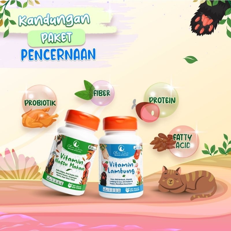 OLIVE CARE PAKET VITAMIN PENCERNAAN