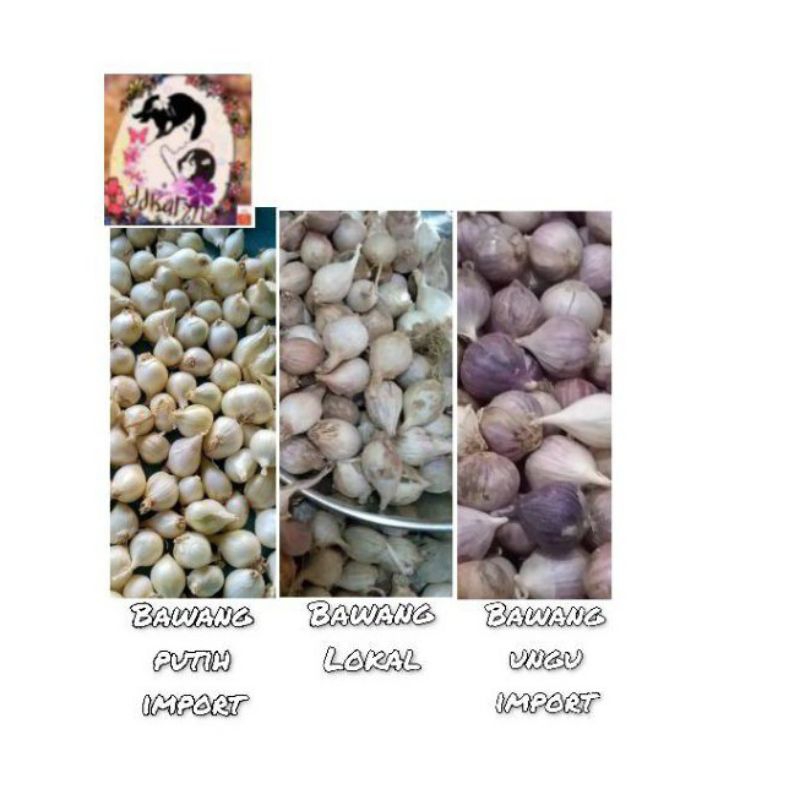 

100gr Bawang Lanang|Bawang putih tunggal