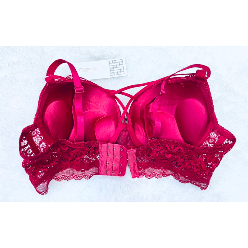 (Restock)BH | Bra Push Up Cup C &amp; D CHANVIE LEEN 9056 Pakai kawat dan busa tebal