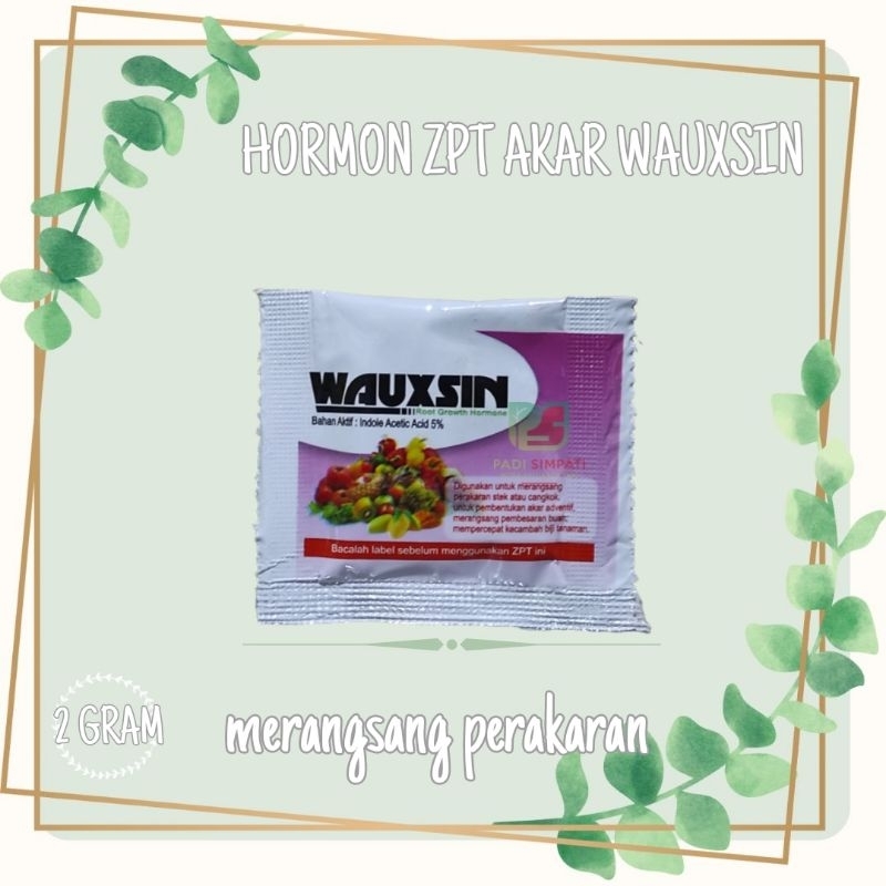 wauxin - zpt akar hormon akar - zat penumbuh akar 2gr