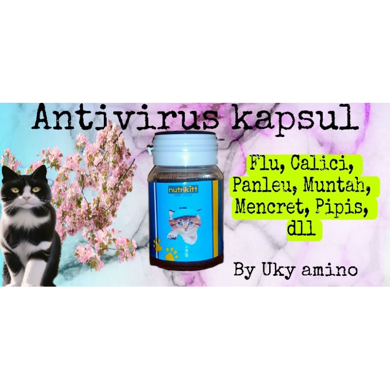 Antivirus Flu, mencret, batuk, calici, Panleu dll