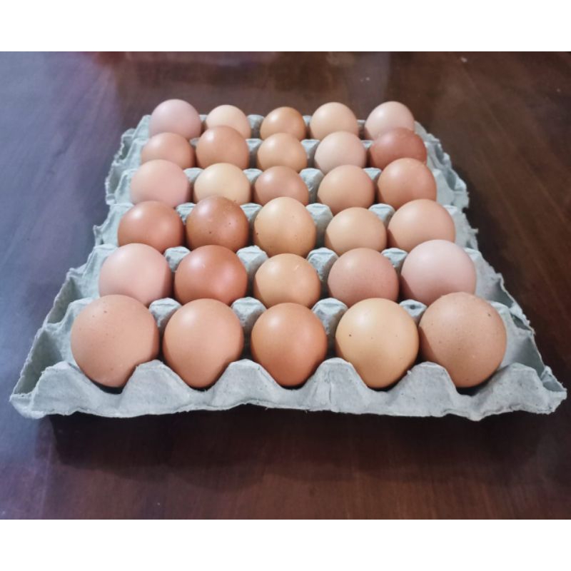 

Telur Ayam Negeri 1 Tray / 1 Papan Isi 30 butir