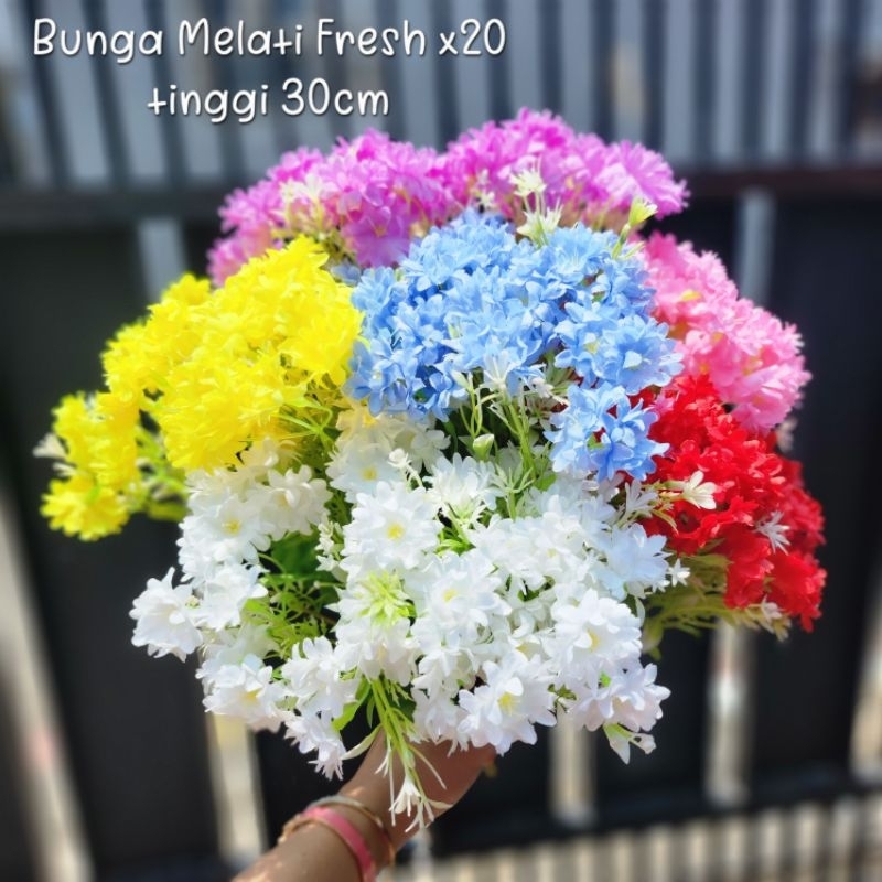 BUNGA MELATI FRESH X20