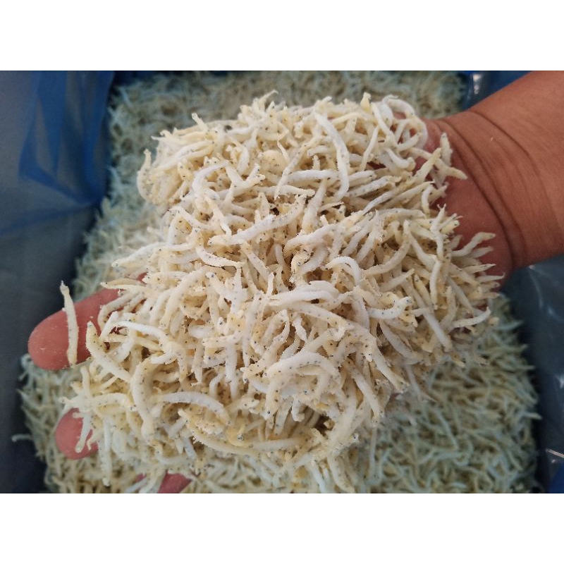 iKan Asin Teri Nasi Bintik Medan Besar 1 Kg Fresh