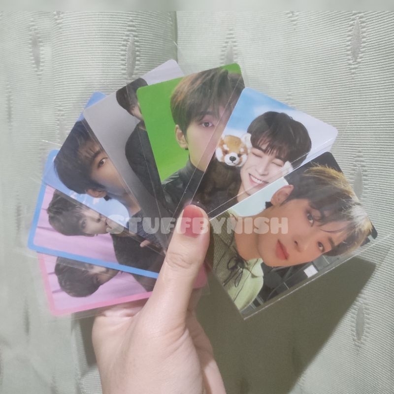 dicon 102 mini seventeen wonwoo vernon set