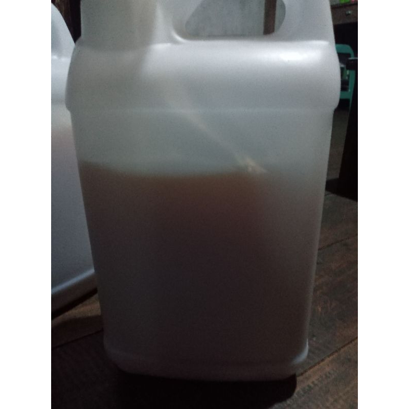 

Madu Kelulut/klanceng/trigona itama Murni 100% 5 Kg (READY STOK HASIL PANEN TERBARU)