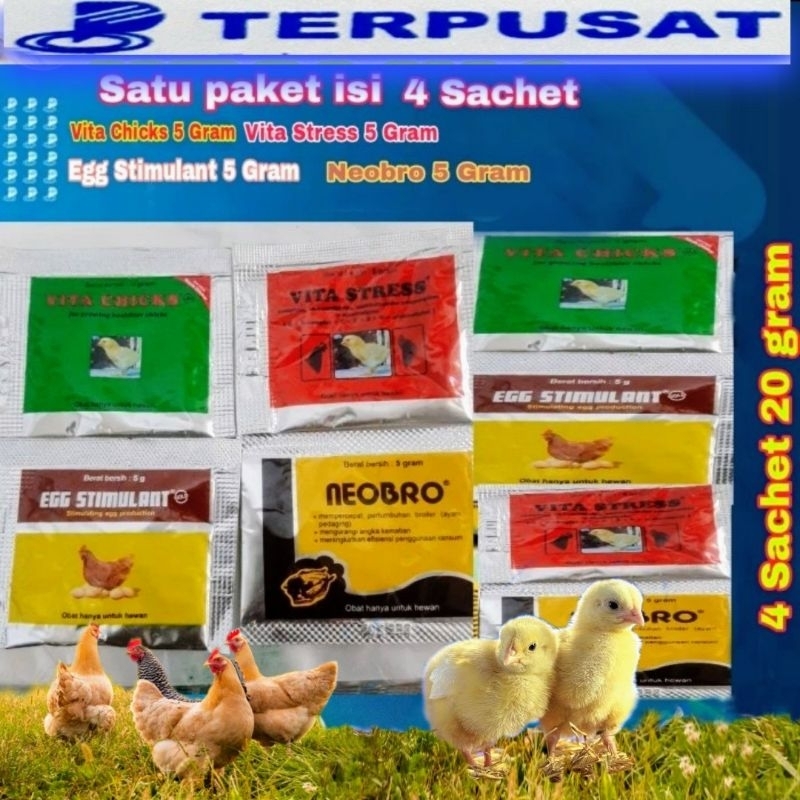 Paket isi 4 Sachet Obat Ayam Vita chicks 5gr. Vita stress 5gr. Egg stimulan 5gr. Neobro 5gr