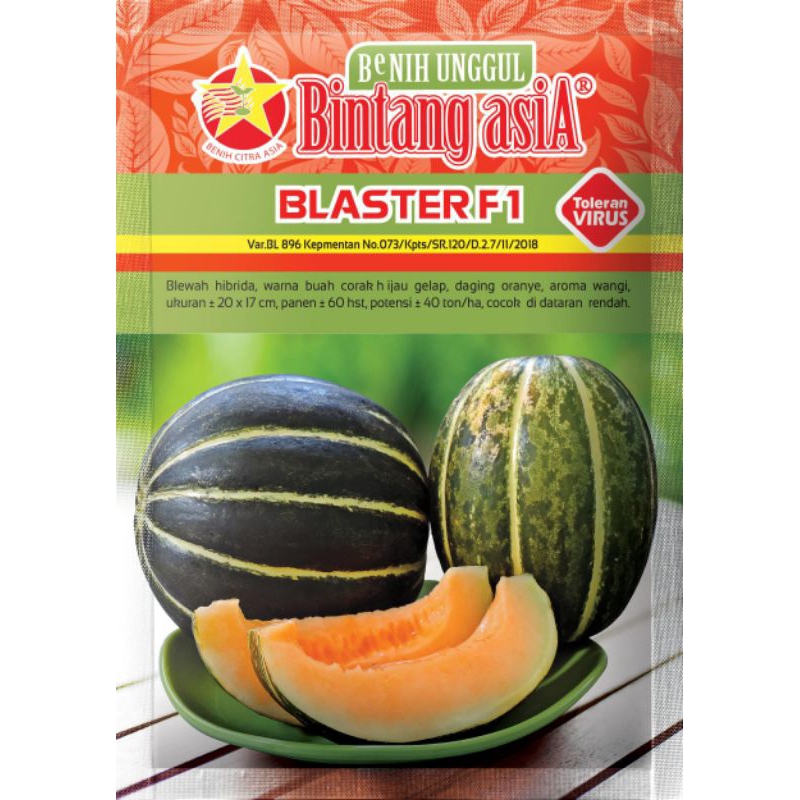 Benih-Bibit Blewah hibrida Blaster F1 (Bintang Asia)