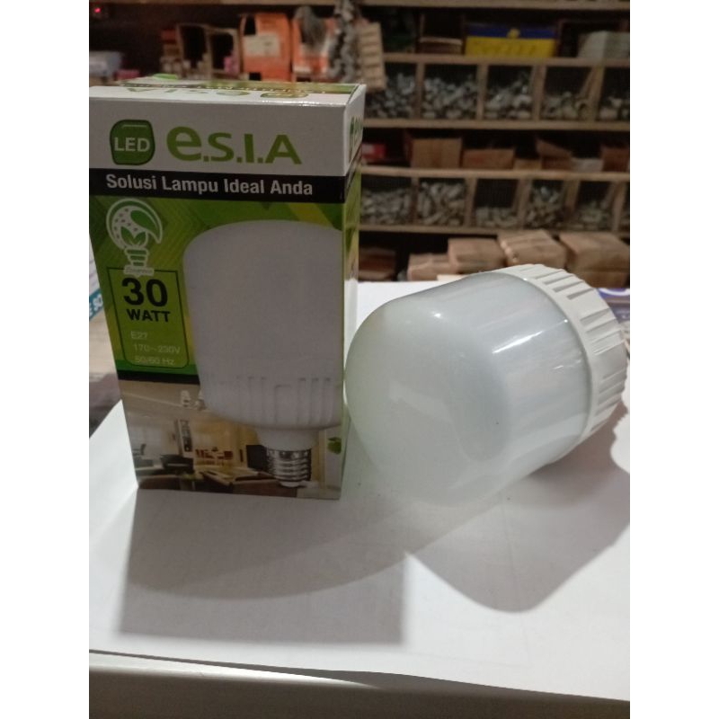 LAMPU ESIA 30W/LAMPU LED
