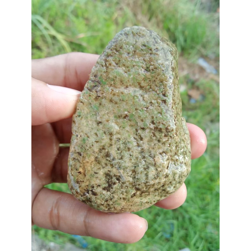 ✅ Batu Lumut Sungai Dareh Pucuk Pisang - Pupis ( Rough / Bahan Batu Akik Natural asli Dhamasraya - b