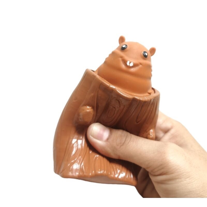 Squishy Pop Up Squirrel / Mainan Silikon Anak Anti Strees / Pop It Squezz / Squishy Pencet / Mainan Squishy Remas