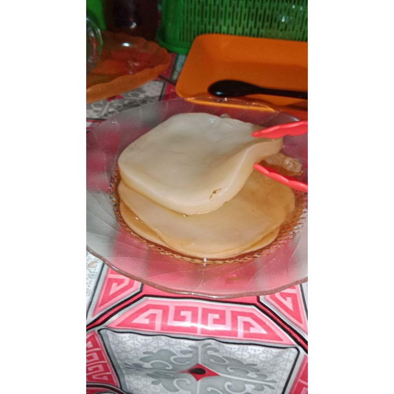 

Bibit Scoby Jamur Kombucha Premium Organik