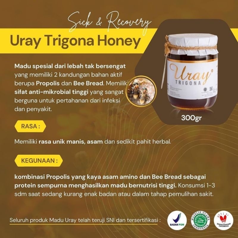 

RB22 Madu Uray Trigona 300gr (230ml) ~ Madu Propolis ~ Bee Bread ~ Madu Obat