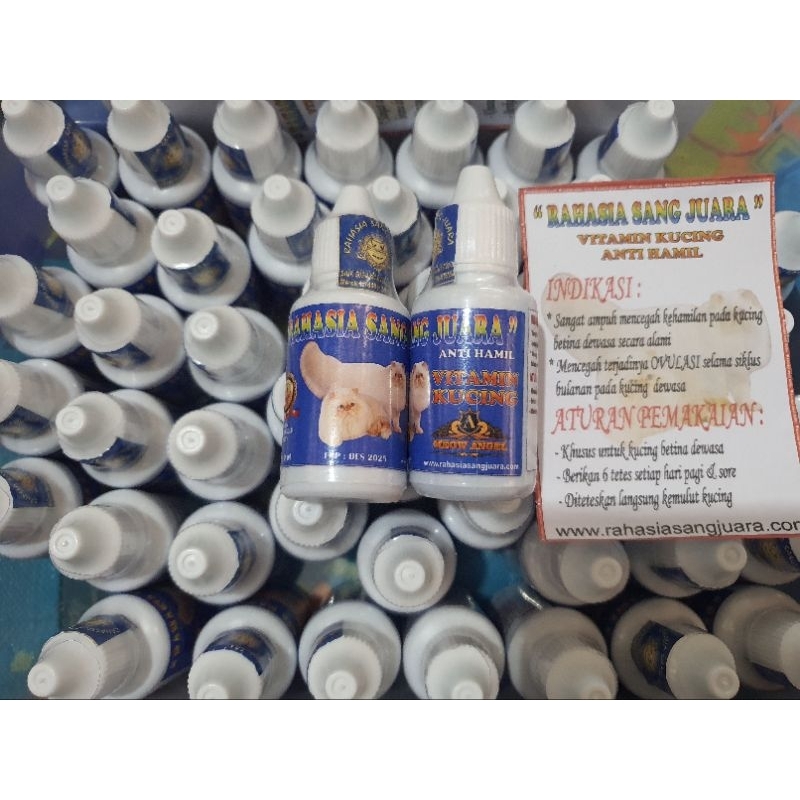 vitamin kucing anti hamil