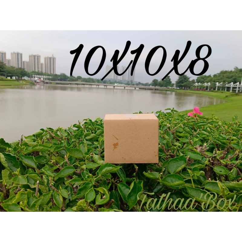 

Kardus packing 10x10x8