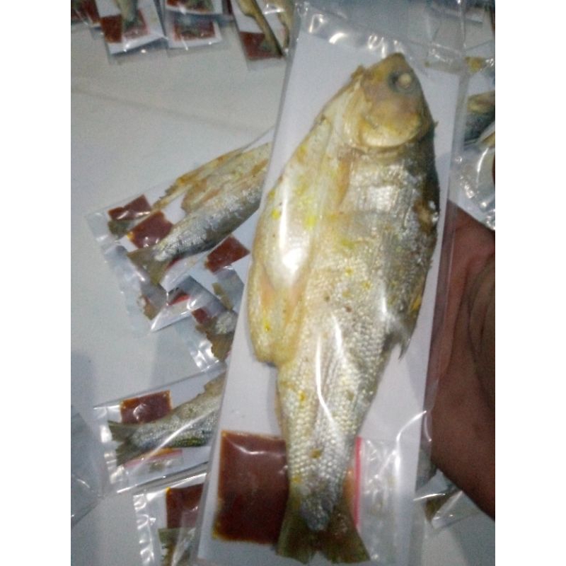 

bandeng_presto_nadiaku_kemasan_vacum.