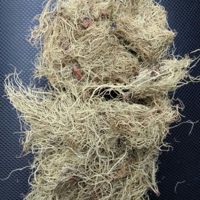 Kayu angin/akar angin herbal original