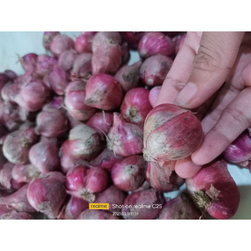

Bawang Merah Nganjuk Besar
