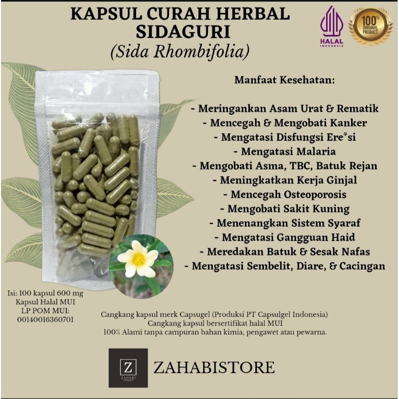 SIDAGURI 100 Kapsul Herbal Lemah Syahwat Asma Anti Radang Ginjal